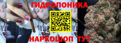 крисы Рыбинск