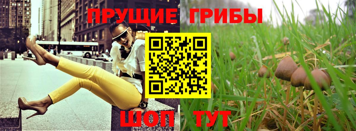 Приморско-Ахтарск  Галлюциногенные грибы ЛСД  Псилоцибиновые грибы мицелий  Вход с VPN 